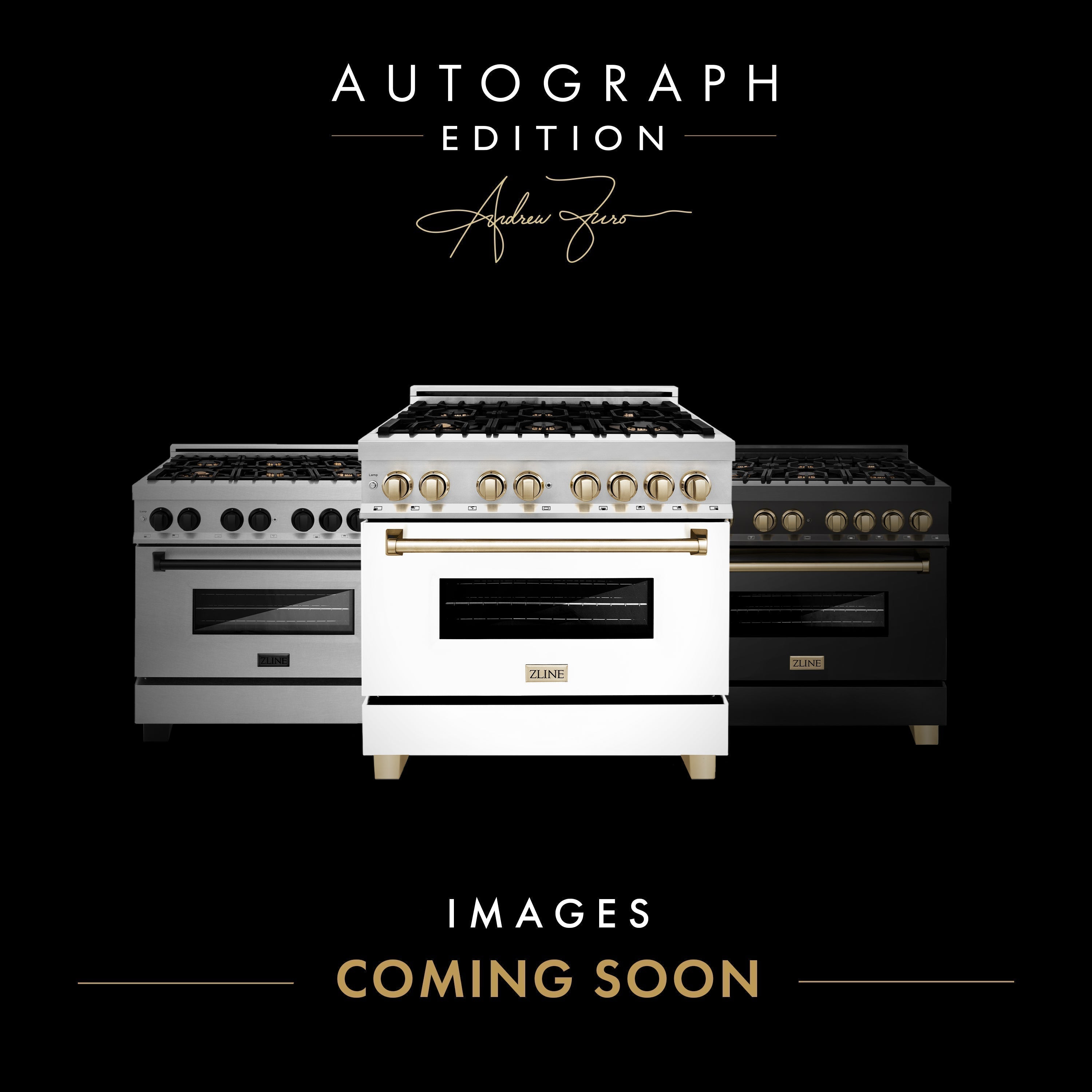 ZLINE 48" Autograph Edition Kitchen Package with Stainless Steel Dual Fuel Range with White Matte Door and Range Hood with Gold Accents (2AKP-RAWMRH48-G)