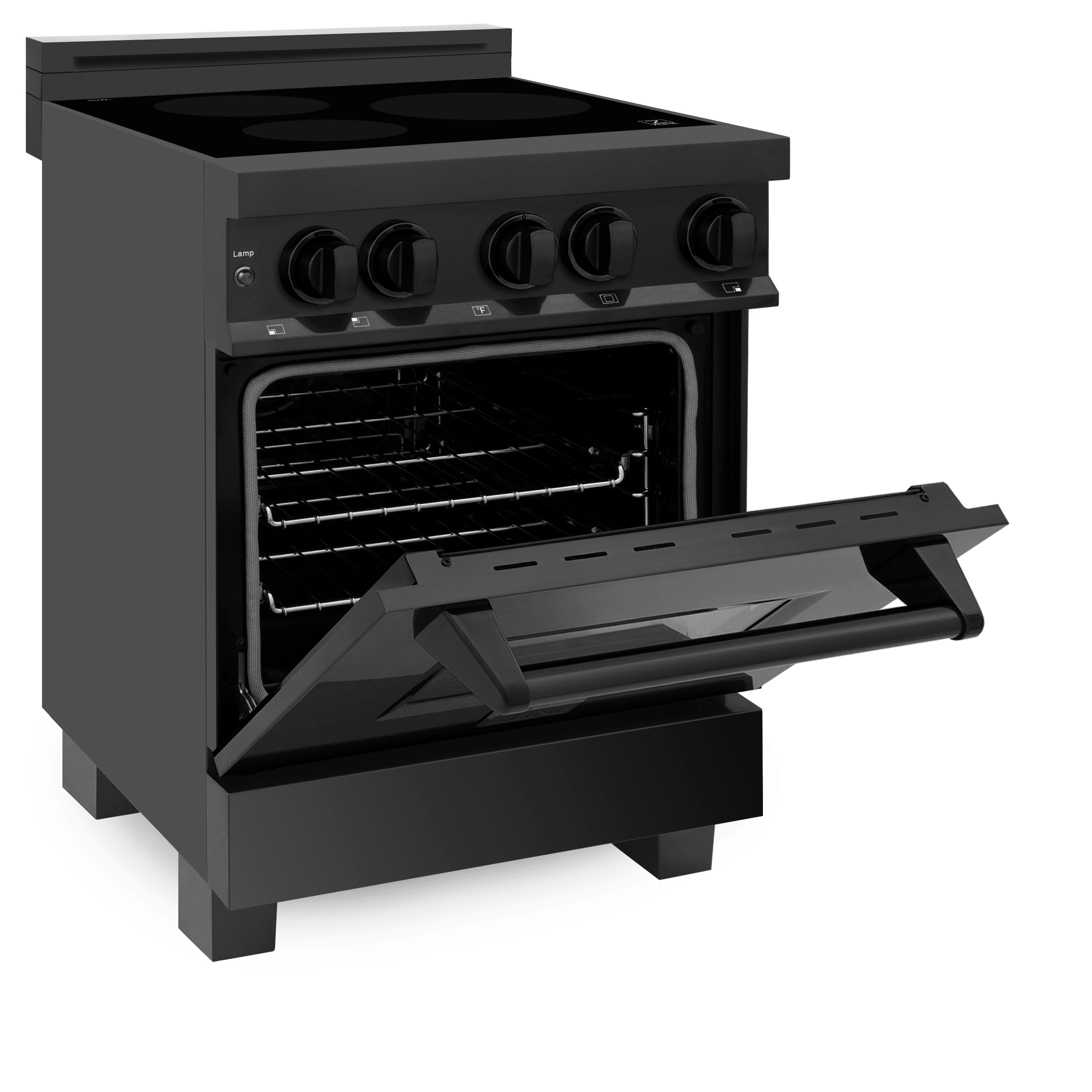 ZLINE 24" 2.8 cu. ft. Induction Range with a 3 Element Stove and Electric Oven in Black Stainless Steel (RAIND-BS-24)
